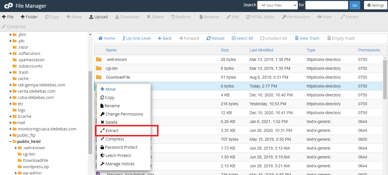 Extract File Wordpress