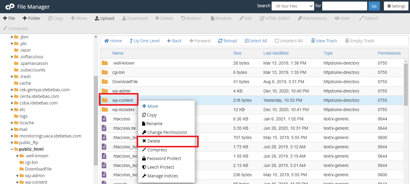Delete Folder wp-content