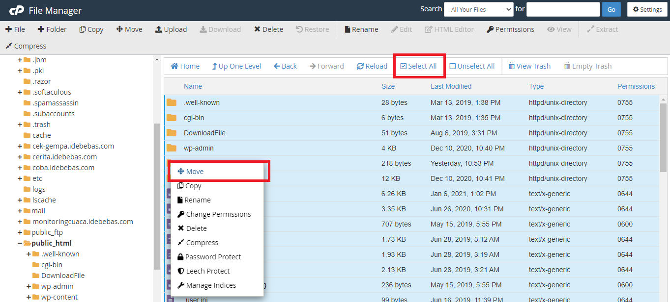 Pindahkan File Wordpress