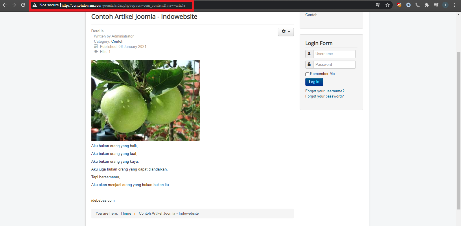 URL Sebelum Dipasang SEO