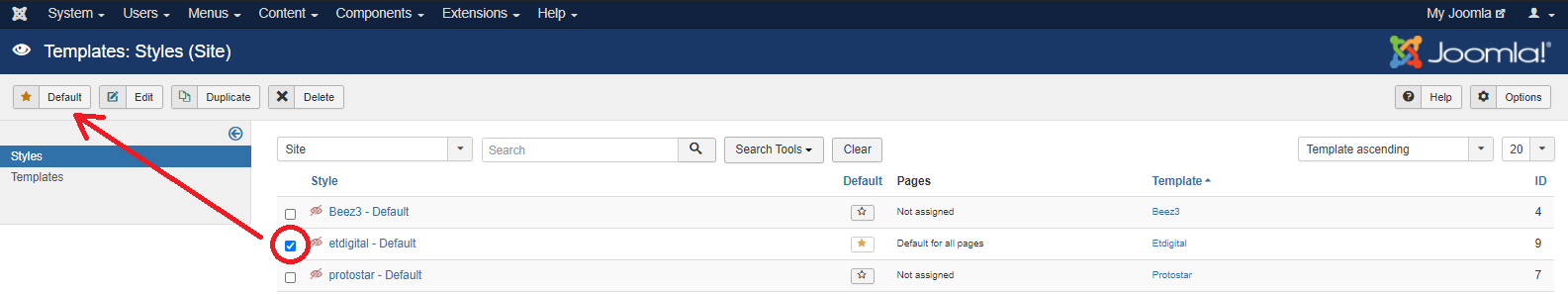 Aktifkan Template yang Sudah Diinstall