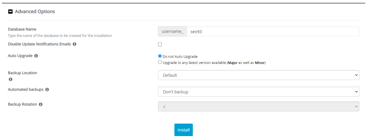 Advanced Options Seo Panel