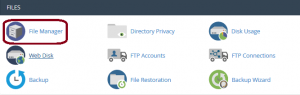 File manager