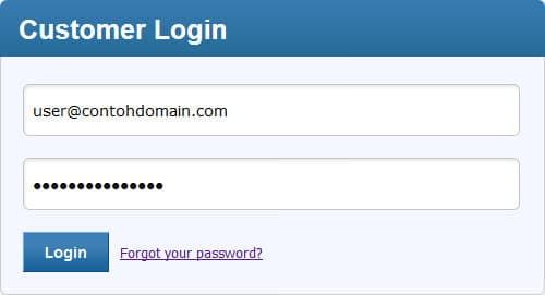 Halaman Login Domain Manager Indowebsite