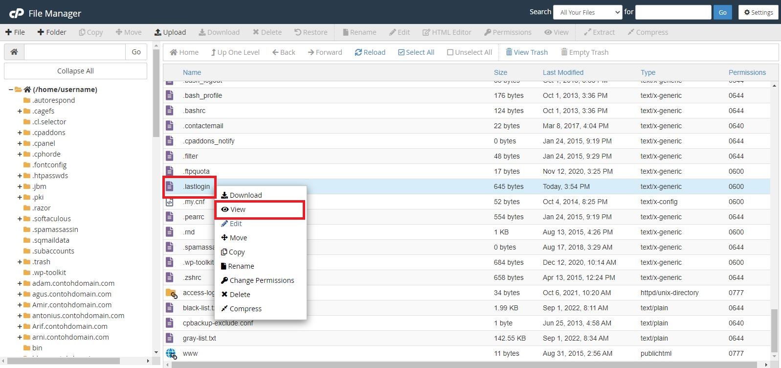 Last Login cPanel.JPG