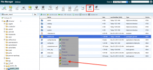 Mengganti Template Opencart-2