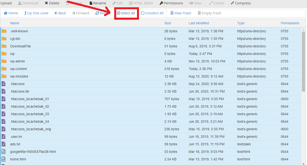 Select All File Wordpress