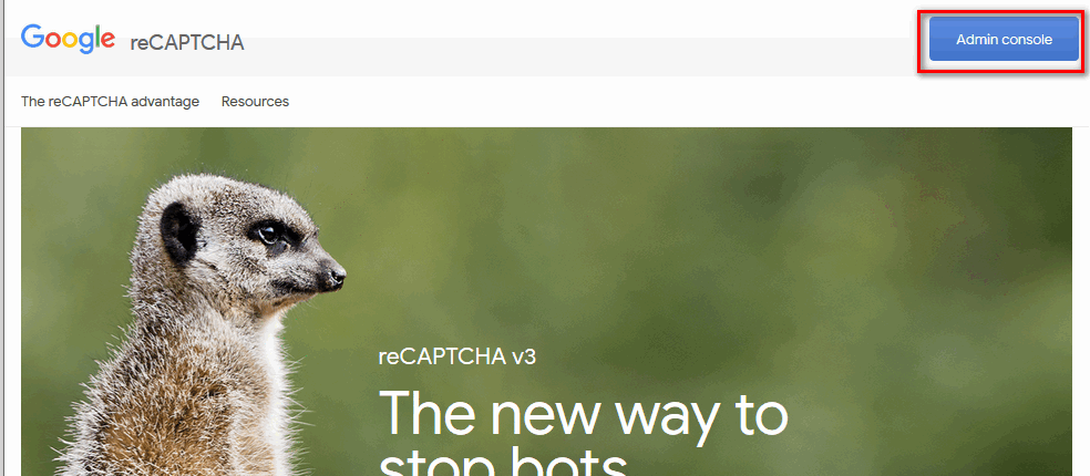 Google Captcha